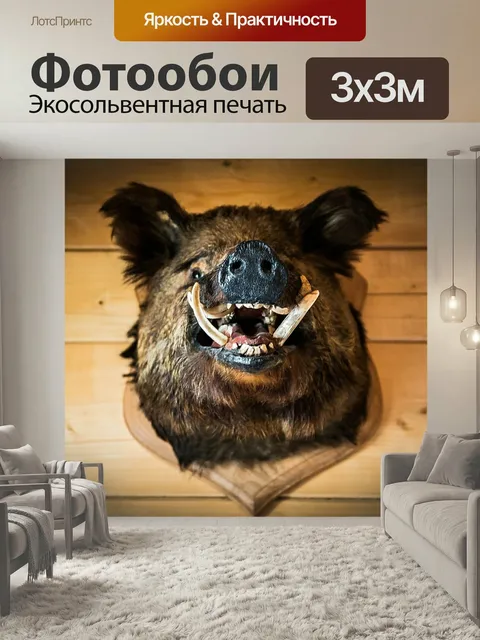 Фотообои Голова кабана, кабан, трофей
