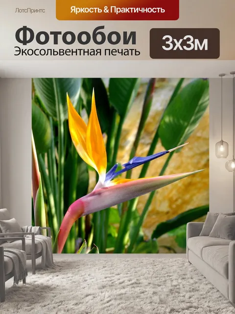 Фотообои Стрелиция, цветок, птица цветок