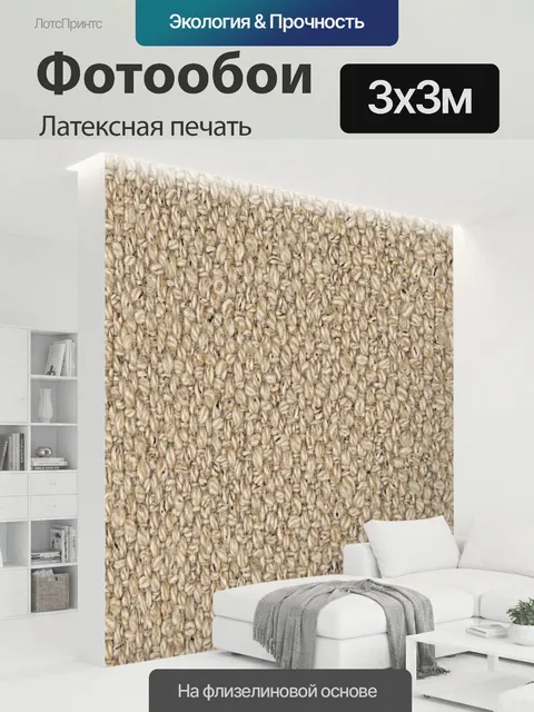 300 × 300 см · Латексная печать