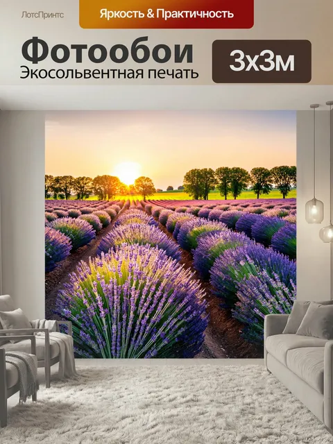 Фотообои Поля лаванды на закате