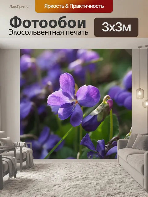 Фотообои Ароматные фиалки, фиолетовый, цветок