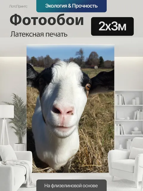 200 × 300 см · Латексная печать