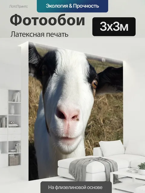 300 × 300 см · Латексная печать