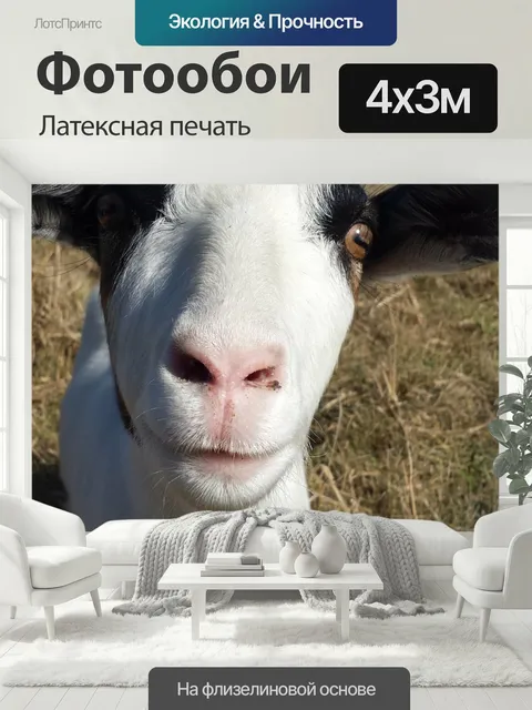 400 × 300 см · Латексная печать