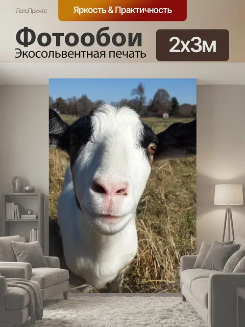 200 × 300 см · Экосольвентная печать