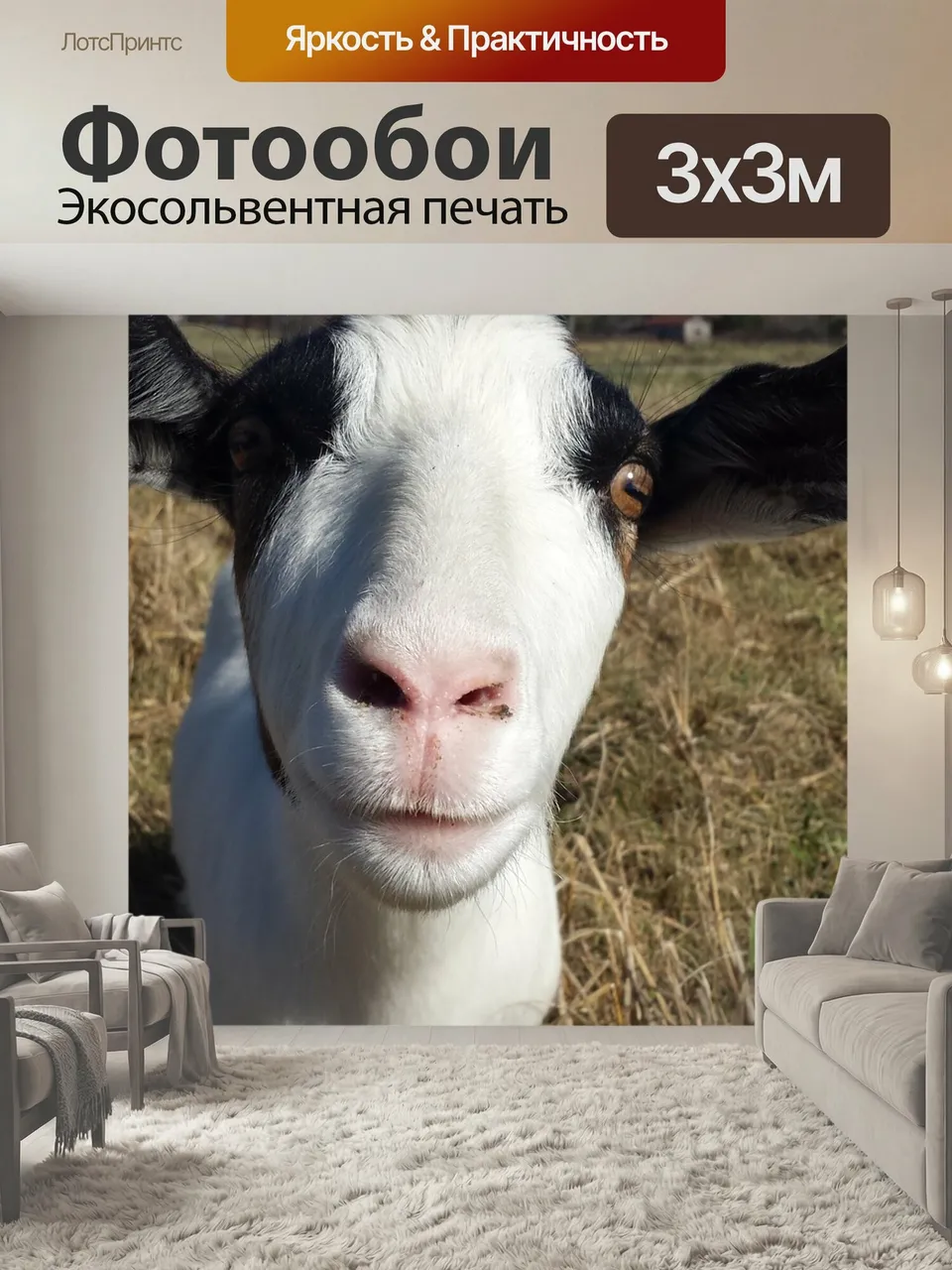 Фотообои Козел, козья морда, ферма