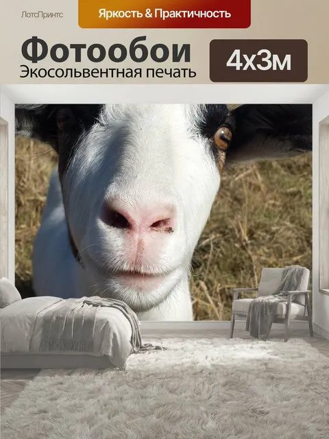 400 × 300 см · Экосольвентная печать