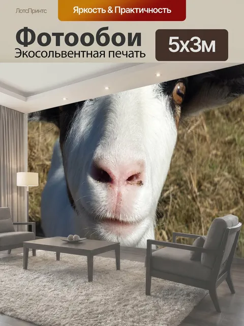 500 × 300 см · Экосольвентная печать