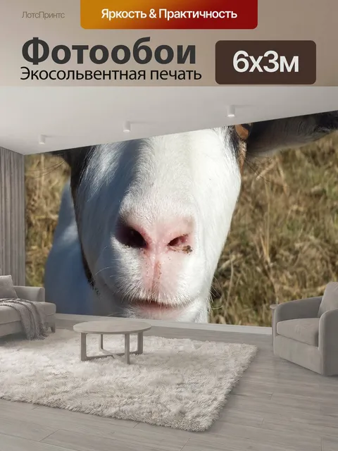 600 × 300 см · Экосольвентная печать