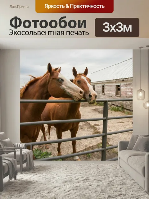 Фотообои Площадь, домашний скот, лошади