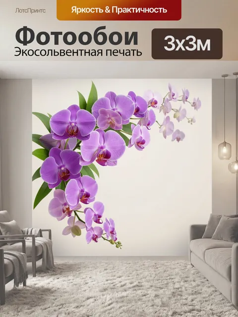 Фотообои Фиолетовые орхидеи на светлом фоне. Изящная цветочная композиция с нежными сиреневыми и лиловыми орхидеями, з…