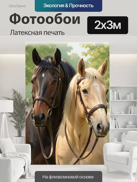 200 × 300 см · Латексная печать