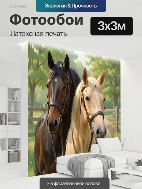 300 × 300 см · Латексная печать