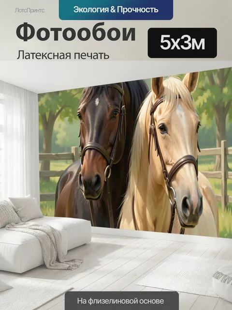 500 × 300 см · Латексная печать