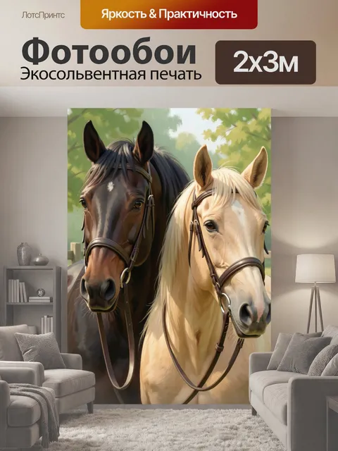 200 × 300 см · Экосольвентная печать