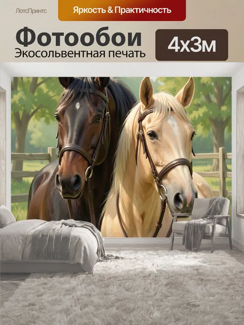 400 × 300 см · Экосольвентная печать