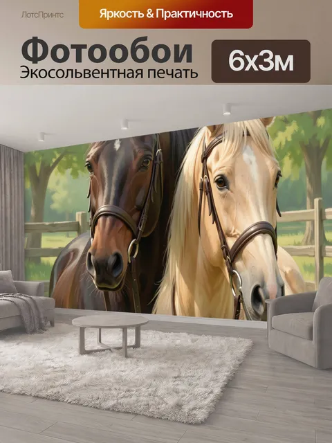 600 × 300 см · Экосольвентная печать