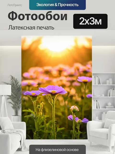 200 × 300 см · Латексная печать