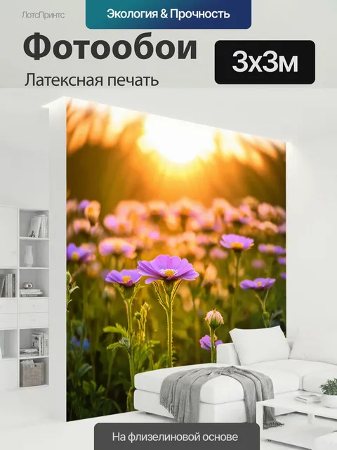 300 × 300 см · Латексная печать