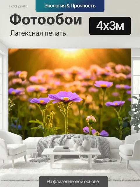 400 × 300 см · Латексная печать