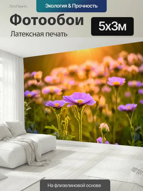 500 × 300 см · Латексная печать