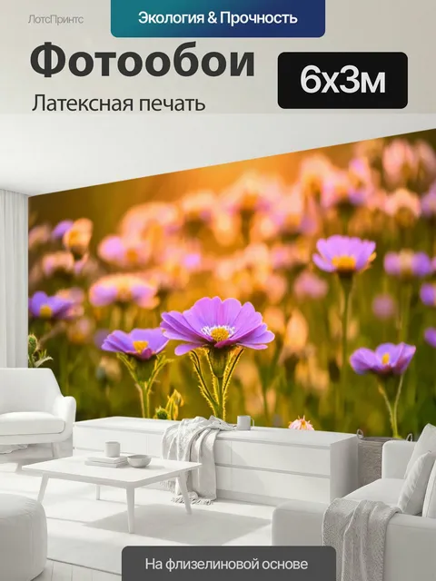 600 × 300 см · Латексная печать