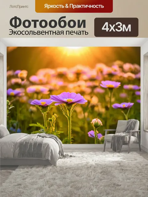400 × 300 см · Экосольвентная печать