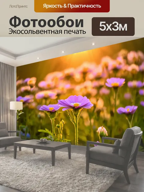 500 × 300 см · Экосольвентная печать