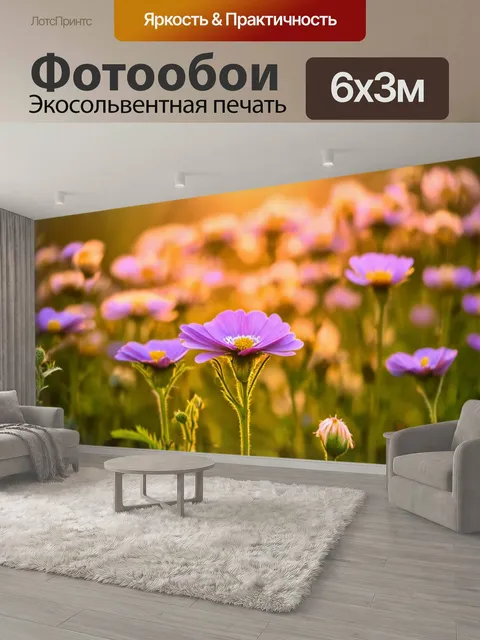 600 × 300 см · Экосольвентная печать