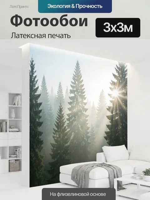 300 × 300 см · Латексная печать