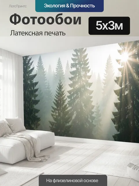 500 × 300 см · Латексная печать