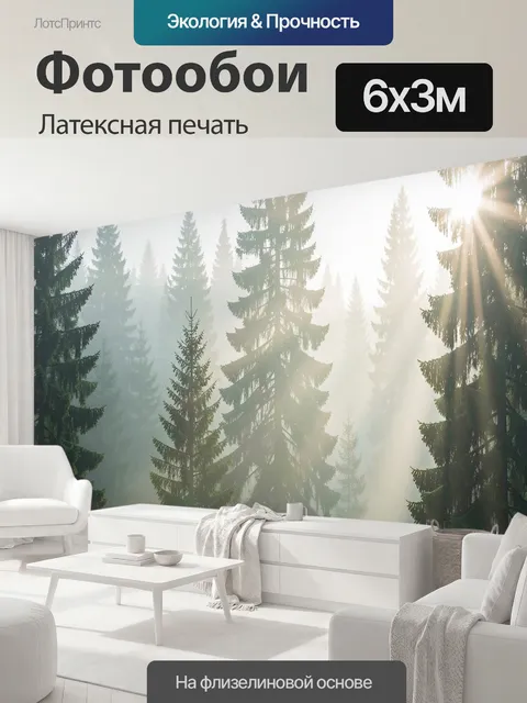 600 × 300 см · Латексная печать