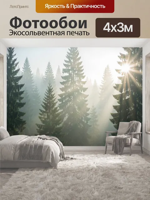 400 × 300 см · Экосольвентная печать