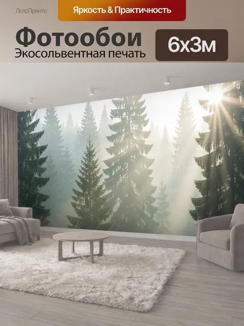 600 × 300 см · Экосольвентная печать