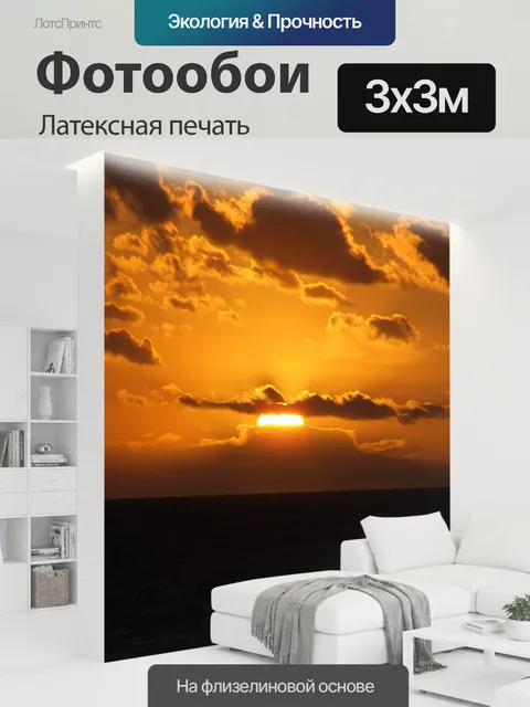 300 × 300 см · Латексная печать