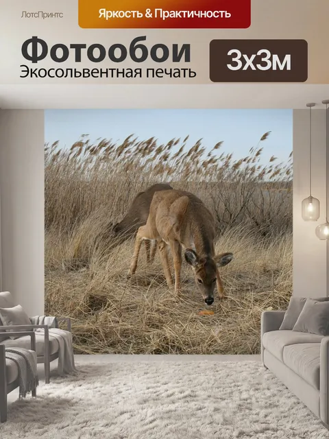 Фотообои Олень, смит точки, животное