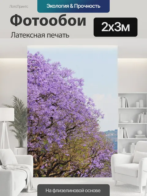 200 × 300 см · Латексная печать