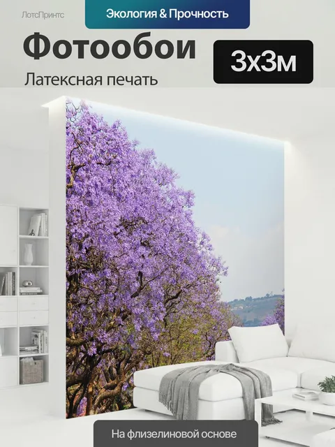 300 × 300 см · Латексная печать