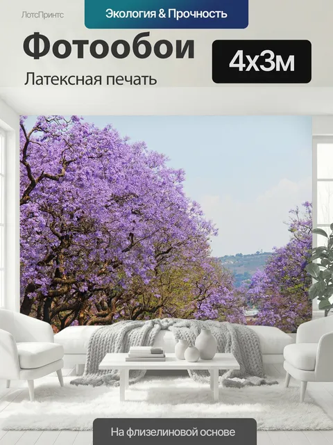 400 × 300 см · Латексная печать