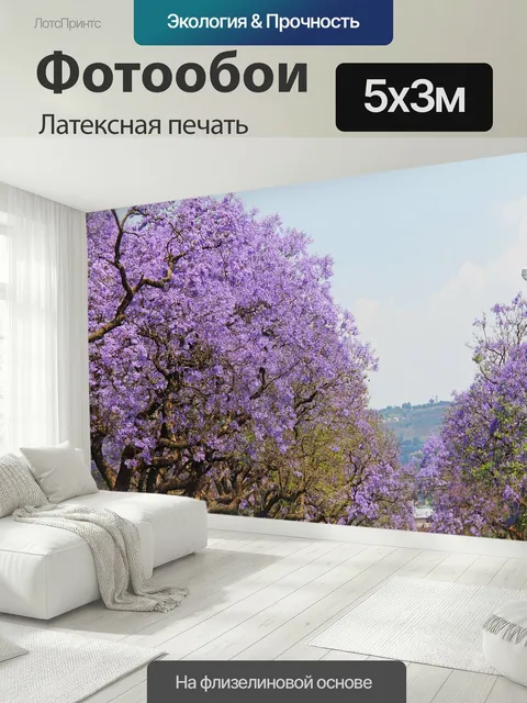 500 × 300 см · Латексная печать