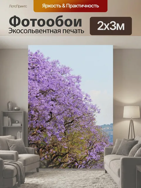 200 × 300 см · Экосольвентная печать