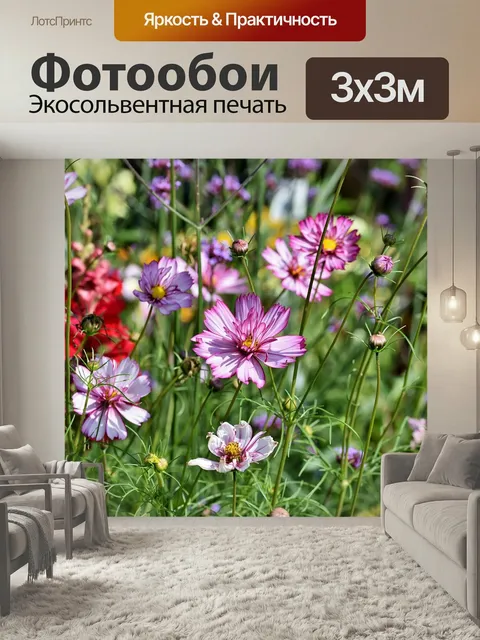 Фотообои Космея, цветочный луг, цветок