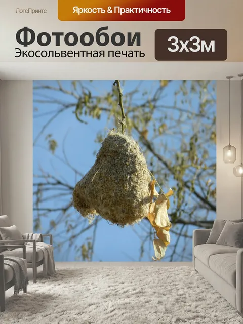 Фотообои Гнездо соловья, вязальщица, ива