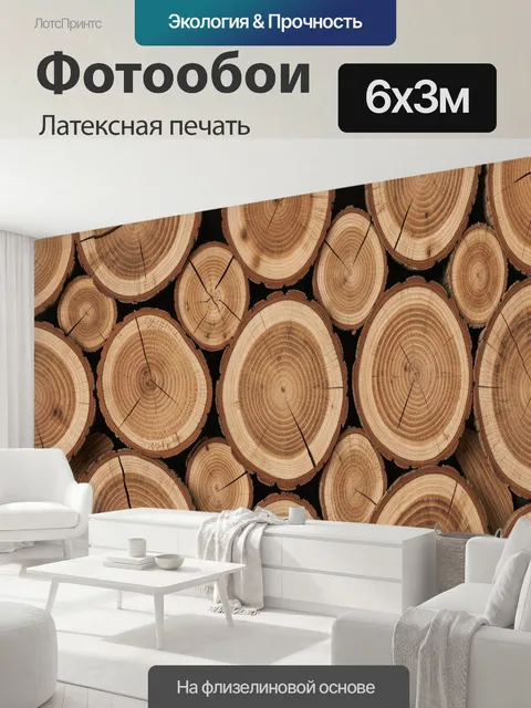 600 × 300 см · Латексная печать