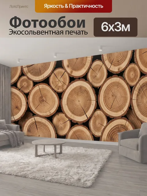 600 × 300 см · Экосольвентная печать