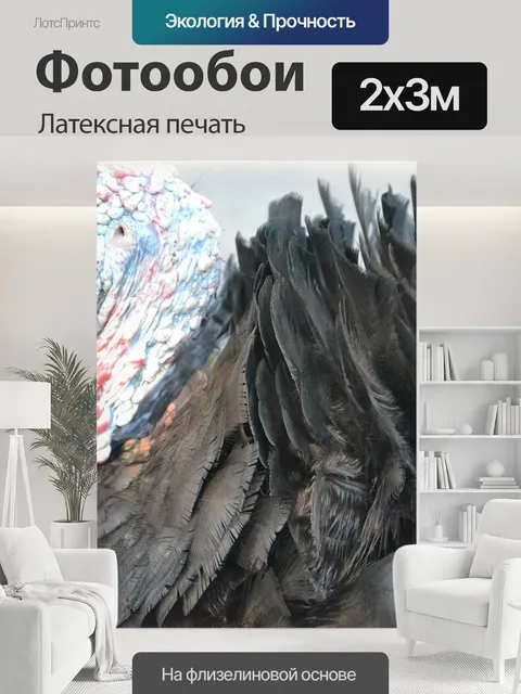 200 × 300 см · Латексная печать