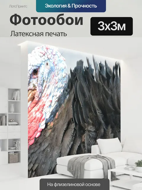 300 × 300 см · Латексная печать