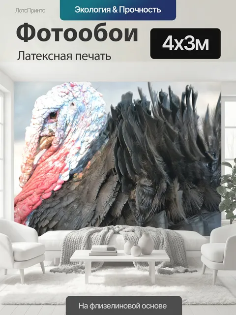 400 × 300 см · Латексная печать