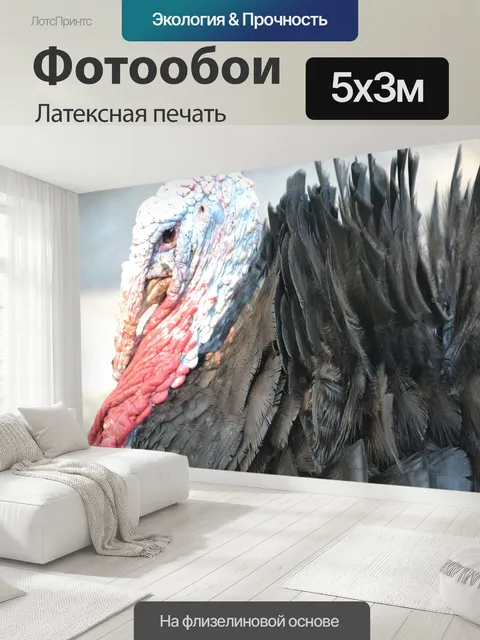 500 × 300 см · Латексная печать
