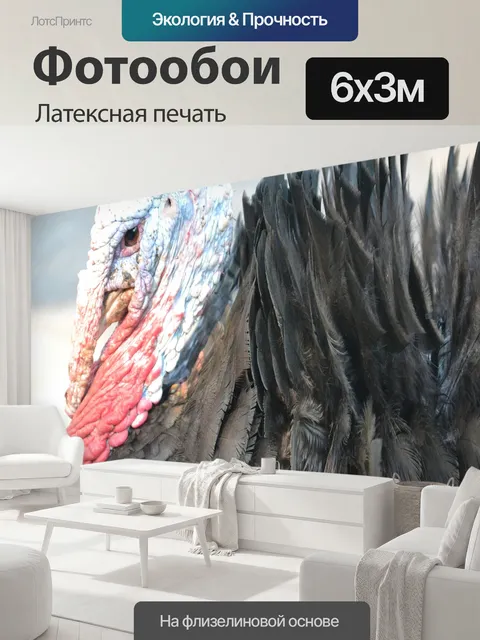 600 × 300 см · Латексная печать